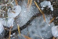 Frozen grass on a winter morning: Frost macro photography, ice fractal formations over plants.