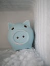 Frozen pig Royalty Free Stock Photo