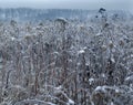Frozen planet background Royalty Free Stock Photo