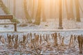 Frozen plats and a icy bench in a park during a cold winter sunrise with a warm glow of the sun and fog in the background. Royalty Free Stock Photo