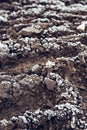 Frozen plowed agricultural field covered with frost