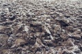 Frozen plowed agricultural field covered with frost