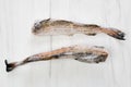 Frozen pollock carcass on wooden table Royalty Free Stock Photo