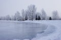 Frozen Pond Royalty Free Stock Photo
