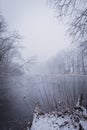 Frozen pond with few trees in cold foggy snowy morning Royalty Free Stock Photo