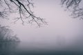 Frozen pond with few trees in cold foggy winter morning Royalty Free Stock Photo