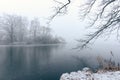 Frozen pond with few trees in foggy winter morning Royalty Free Stock Photo