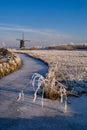 Frozen pond with riped reed near Streefkerk Royalty Free Stock Photo