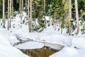 Frozen Pond in a Ski Route Surrounded by Snow Covered Trees. Cool Winter Scenery in Bansko, Bulgaria.