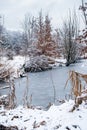 frozen pond, snow-covered trees and plants around pond