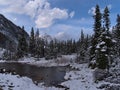 Frozen pond surrounded by snow-covered coniferous trees on Edith Cavell Meadows Trail in Jasper National Park, Alberta, Canada. Royalty Free Stock Photo