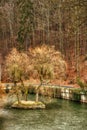 Frozen pond with tiny island with two beautiful trees