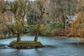 Frozen pond with tiny island with two beautiful trees