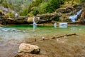 Frozen pond of water in the wild Royalty Free Stock Photo