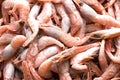 Frozen prawns Royalty Free Stock Photo