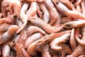 Frozen prawns Royalty Free Stock Photo