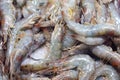 Frozen prawns Royalty Free Stock Photo