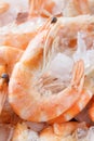 Frozen prawns on ice. macro. Royalty Free Stock Photo