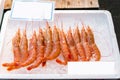 Frozen prawns / shrimps in foam box on shelf of seafood shop, t Royalty Free Stock Photo