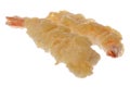 Frozen Prawns Tempura Isolated Royalty Free Stock Photo
