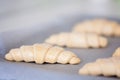 Frozen and pre-made or prefab croissants on a tin waiting to get to the oven at home, easy cooking with convenience food Royalty Free Stock Photo