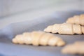 Frozen and pre-made or prefab croissants on a tin waiting to get to the oven at home, easy cooking with convenience food Royalty Free Stock Photo