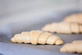 Frozen and pre-made or prefab croissants on a tin waiting to get to the oven at home, easy cooking with convenience food Royalty Free Stock Photo