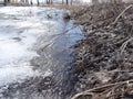 Frozen puddle in the forest in spring