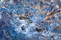 Frozen puddle with leaves Royalty Free Stock Photo