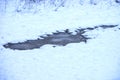 Frozen puddle on the snow floor Royalty Free Stock Photo