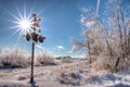 Frozen Railway Crossing Royalty Free Stock Photo