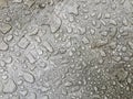 Frozen raindrops on a concrete plane, for the background, gray