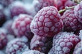 Frozen raspberries covered with ice crystals Royalty Free Stock Photo