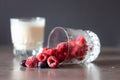 Frozen raspberries in glass and yogurt Royalty Free Stock Photo