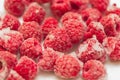 Frozen raspberries on white Royalty Free Stock Photo