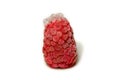 Frozen raspberries on a white background closeup Royalty Free Stock Photo