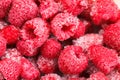 Frozen Raspberry food background