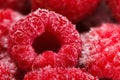 Frozen Raspberry food background
