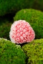 Frozen Raspberry on Green Moss Close-Up