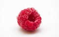 Frozen raspberry on white