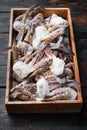 Frozen raw blue swimming crab meat, in wooden box, on dark wooden background Royalty Free Stock Photo