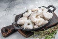 Frozen raw shrimp prawns in a rustic skillet with fresh thyme on a gray stone background. Flat lay with copy space. Royalty Free Stock Photo