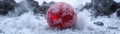 Frozen red apple in winter landscape Royalty Free Stock Photo