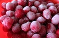 Frozen red cherries covered with ice