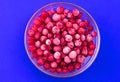 Frozen red currant berries in a plate on a blue background. Flat lay. Royalty Free Stock Photo