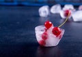 Frozen red currant in ice cube over dark background. Royalty Free Stock Photo