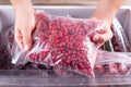 Frozen red currants. Frozen berries and fruits in a plastic bag in refrigerator Royalty Free Stock Photo