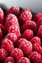 Frozen red raspberries Royalty Free Stock Photo