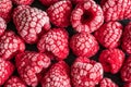 frozen red raspberries background closeup Royalty Free Stock Photo