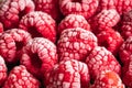 frozen red raspberries background closeup Royalty Free Stock Photo